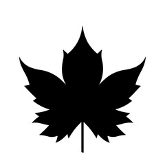 A large maple leaf symbol in the center. Isolated black symbol. Vector illustration on white background