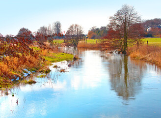 Landscape, river and creek by field with trees, bush and environment in sunshine with green plants. Woods, nature and outdoor with growth, sustainability and ecology for swamp, water and countryside