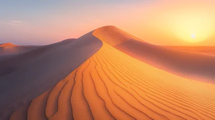 Foto op Canvas Sunrise over sand dunes in desert background with copy space © Keitma