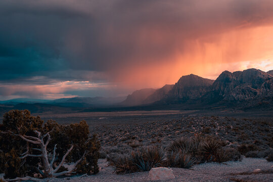 Gewitter in der W&uuml;ste von Nevada im Red Rock Canyon