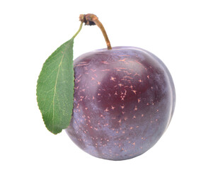 Plum isolated on white