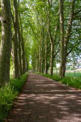 Lake Geneva, Lausanne ,Switzerland