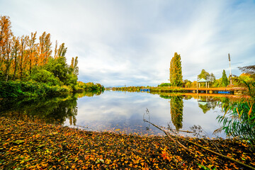 Flückiger Lake near Freiburg im Breisgau with the surrounding nature. Autumn landscape by the...