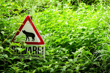 Be ware Sign in between high grass with hayena on it
