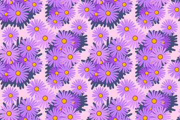 Asters Floral Seamless Pattern.  Vector Illustration design for background or wallpaper