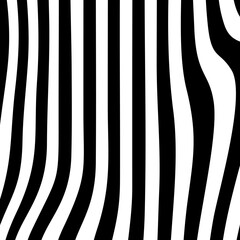 Fototapeta na wymiar zebra stripe pattern