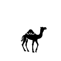 Camel Tropical