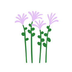 Spring flowers. Fragile delicate meadow blooms. Field floral herbs, stems. Beautiful gentle simple blossomed wildflowers. Abstract botanical flat vector illustration isolated on white background - 748532138