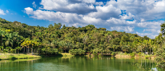 Serene Tropical Lake with Lush Greenery and Blue Sky