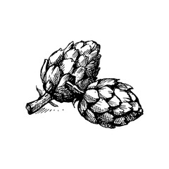 Hand drawn sketch vegetable artichoke. Eco food. Vector vintage black and white illustration - 748533385