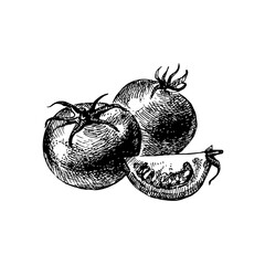 Hand drawn sketch vegetable tomato. Eco food.Vector vintage black and white illustration - 748533389