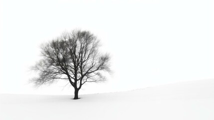 Fototapeta na wymiar Serene Solitary Tree in Snowy Landscape, Minimalist Nature Scene