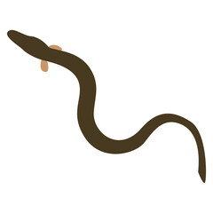 Fototapeta premium Eel Illustration