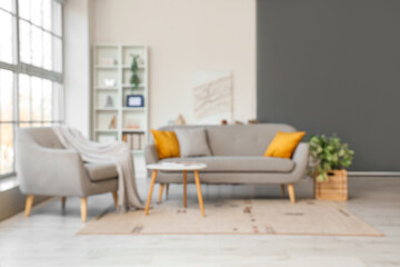 Stylish interior of living room with comfortable sofa and shelving unit, blurred view
