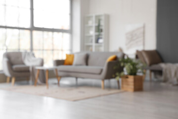 Stylish interior of living room with comfortable sofa and armchair, blurred view