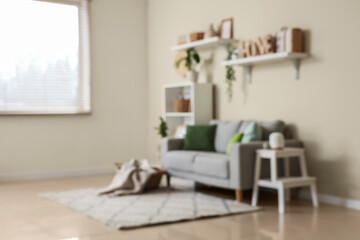 Modern interior of comfortable living room with cozy sofa, carpet and shelving unit, blurred view