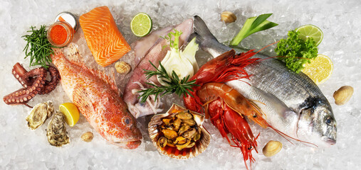 Fish and Sea Food on Ice with Sea Weed, Caviar, Mussels, Oysters and Vegetables isolated on white Background - Banner - 748543193