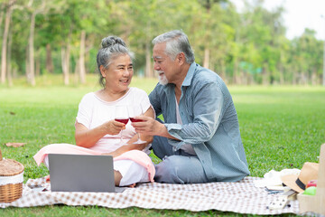 senior couple picnic and holding red wine glass together in the park