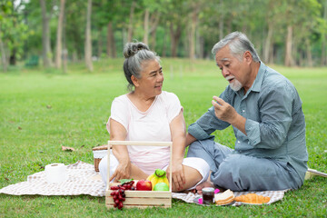 senior couple smiling and have a picnic in the park
