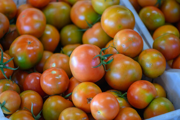 tomatoes in a box in a store in Cyprus 3