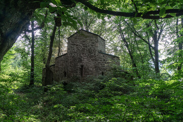 Old stone basilica in the forest. There are trees and bushes around. Day, bright blue sky.