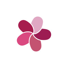 Fototapeta premium Flower plumeria logo vector element symbol design