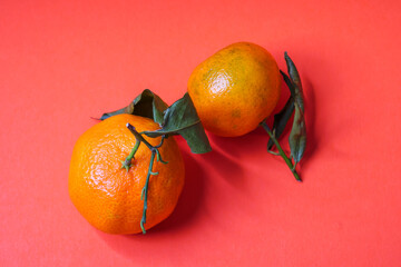 Reife Frucht der Mandarine (Citrus reticulata) mit Blättern auf orangenem Hindergrund