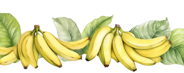 Watercolor background banner of bananas isolated on a white background as transparent PNG - obrazy, fototapety, plakaty