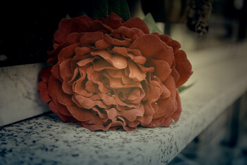 Vintage flower bouquet - 748563183