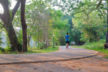 Fototapeta premium Morning Walk in Serene Park. A person enjoys a peaceful walk on a winding park path surrounded by lush greenery.