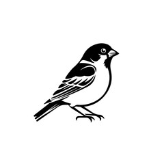 Fototapeta premium House Sparrow Vector Logo