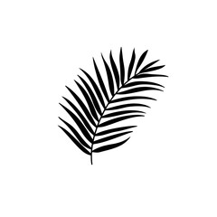 Palm Leaf Vector Logo
