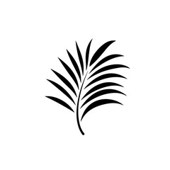Palm Leaves Vector Logo