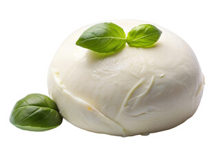Mozzarella cheese with basil leaves isolated on a transparent background.