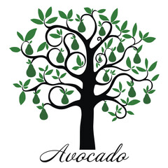 Avocado tree isolated on white background. Vector Illustration