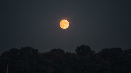 An orange moon rises above the silhouette of trees, casting a warm glow against the night sky, a...
