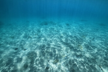 Fototapeta na wymiar sandy beach underwater photo background abstract horizontal panorama of the blue sea