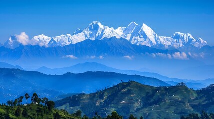 This is a beautiful landscape image of the Himalayas. The snow-capped mountains are in the distance, with a lush green valley in the foreground.