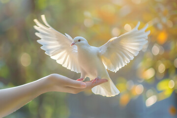 The dove is being released by the hand of a beautiful woman.