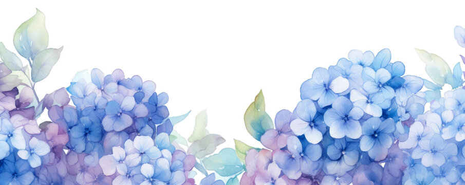 Watercolor background banner of hydrangea isolated on a white background as transparent PNG