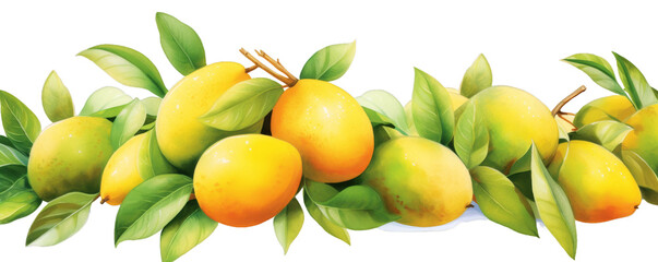 Watercolor background banner of mango isolated on a white background as transparent PNG