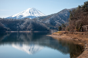 Naklejka na ściany i meble 河口湖から見た富士山