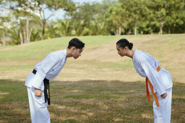 Taekwondo athletes bowing each other before start fighting