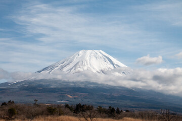 Fototapeta premium 朝霧高原の富士山