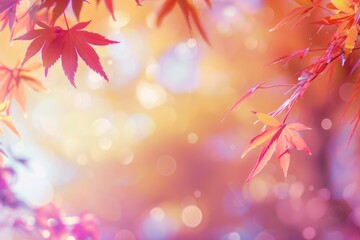 Detailed view of a tree with vibrant red leaves, perfect for autumn themes and nature backgrounds