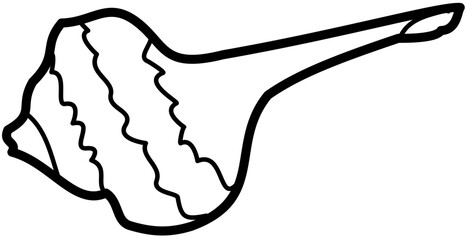 Exotic sheashell doodle beach sand © ika