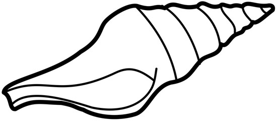 Exotic sheashell doodle beach sand