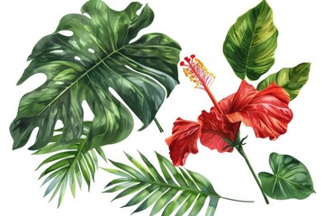 Colorful tropical leaves and flowers on a white background. Ideal for tropical-themed designs