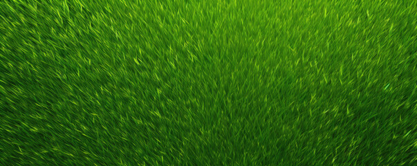 Green grass top view.  Grass or lawn wide banner or panorama photo