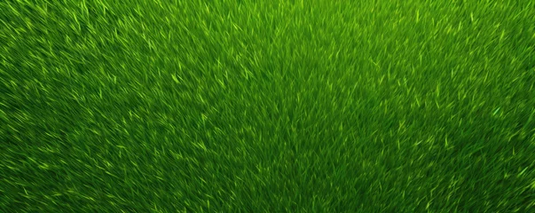 Keuken spatwand met foto Green grass top view.  Grass or lawn wide banner or panorama photo © Michal